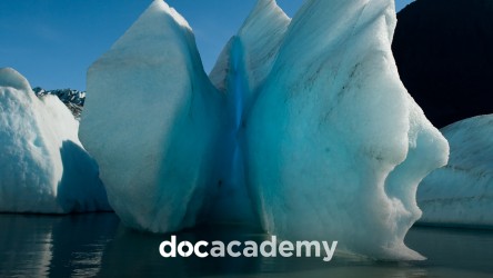 Chasing Ice - Doc Academy