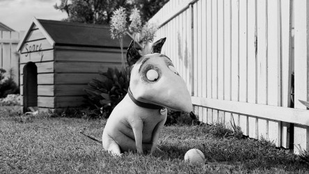 Frankenweenie