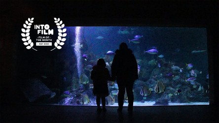 Fish Out of Water - Film of the Month winner, May 2020