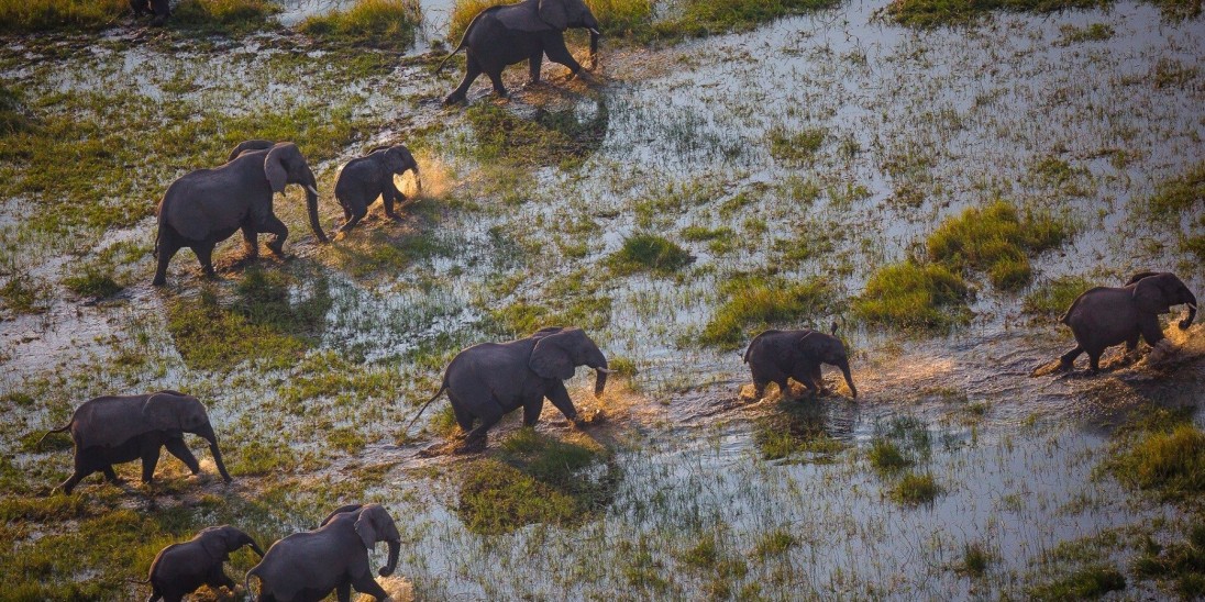 Into the Okavango