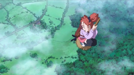 Mary and the Witch's Flower