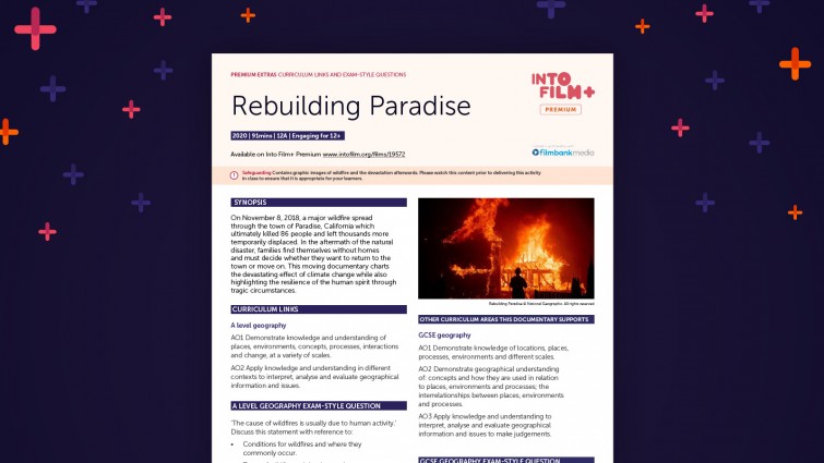 Rebuilding Paradise